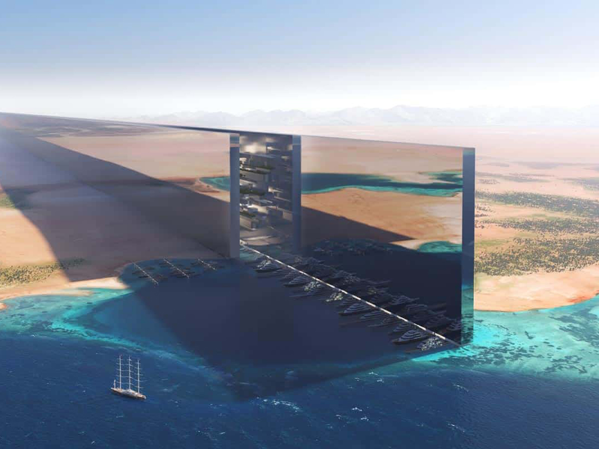 ذا لاين