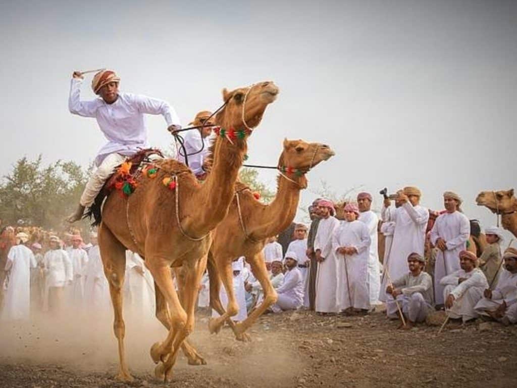 مهرجان الهجن